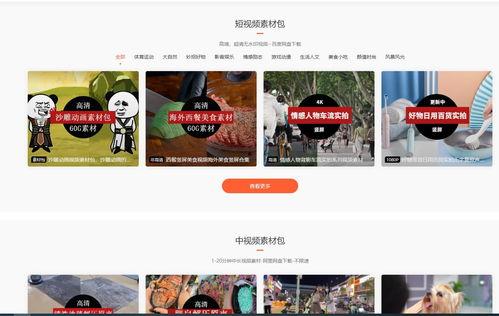 视频网站推荐,如何精准捕捉你的兴趣点