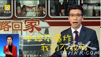 朱广权段子视频,幽默风趣，笑点连连