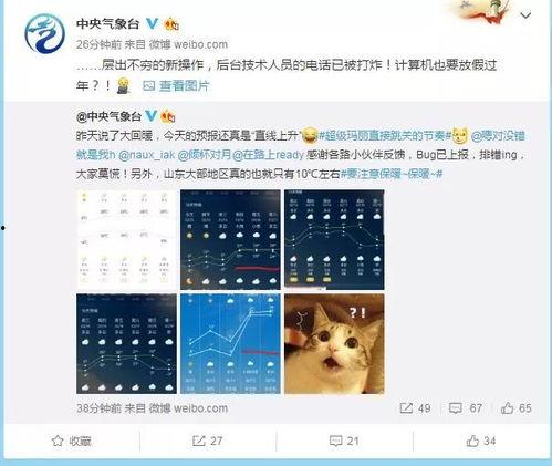 天气预报视频直播今天